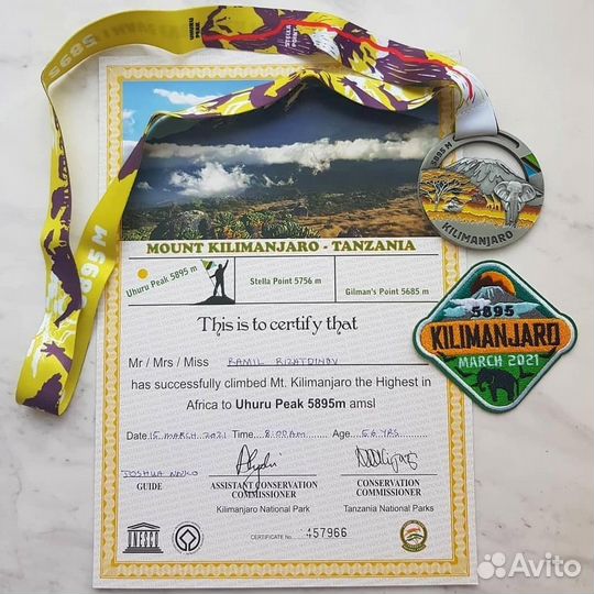 Шеврон гор нашивка Килиманджаро 5895 с датой