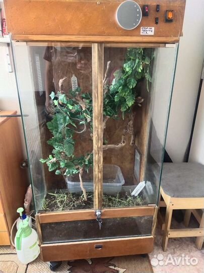 Террариум для змеи