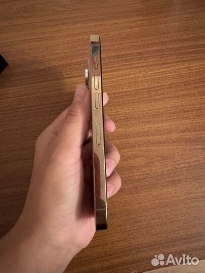 iPhone 13 Pro, 256 ГБ