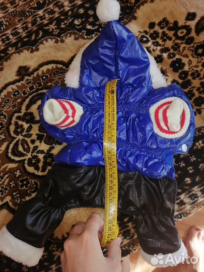 Одежда для маленькой собачки