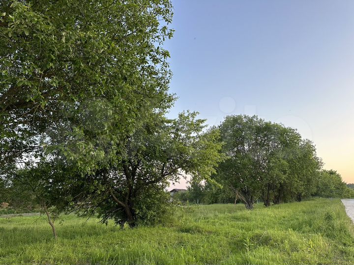 Участок 20 сот. (ИЖС)