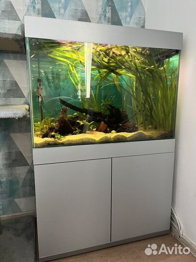 Аквариум NatureAqua 240л в сборе