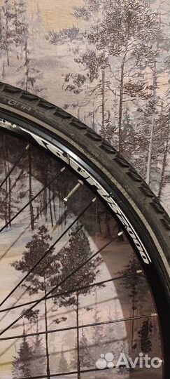 Вилсет 28 Taurus2000 (KTM Veneto)