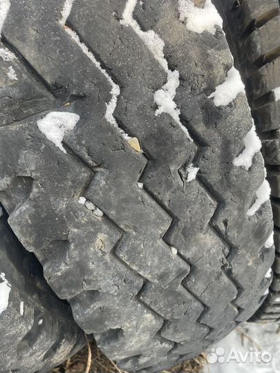 Змейка 12.00r20,4 штуки