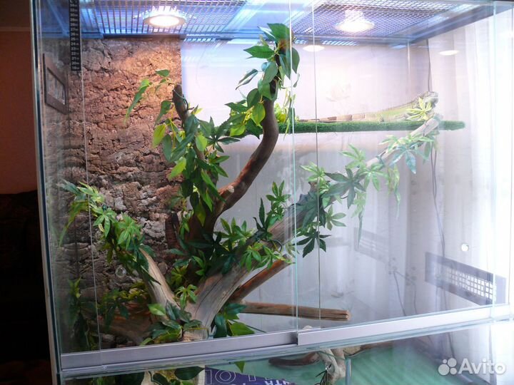 Террариум для рептилий