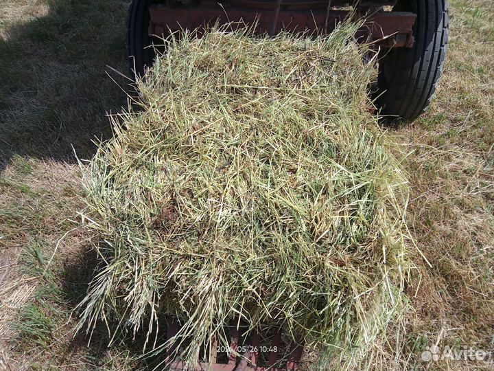 Продаю луговое сено в тюках 2024 года