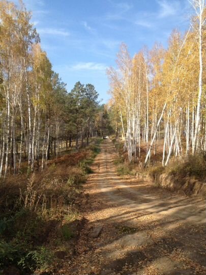 Участок 7 сот. (СНТ, ДНП)