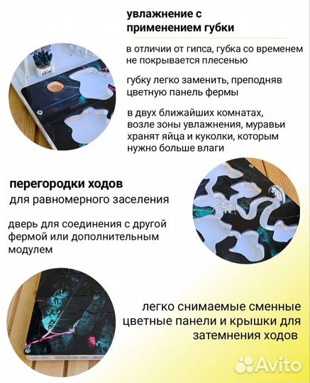 Муравьиная ферма с муравьями Космос М
