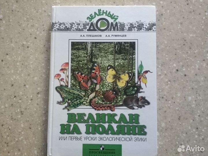 От земли до неба Плешаков