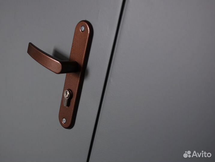 Дверь входная металлическая тамбурная