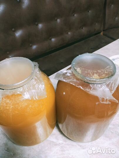 Продам мед 1000кг