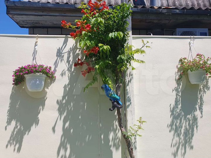 Дом 25,5 м² на участке 2,6 сот.