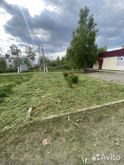 Покос травы