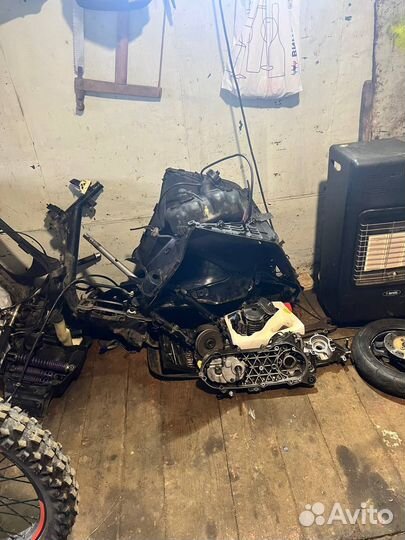 Сузуки сепия