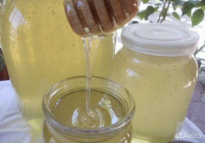 Мед/Продукты пчеловодства