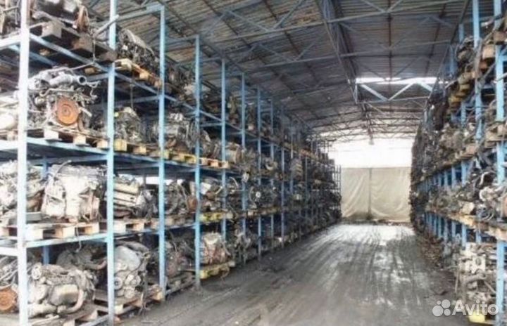 Тнвд Volkswagen Фольксваген