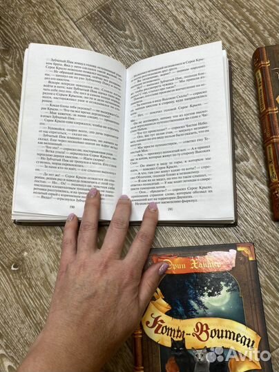 Книги Коты Воители Солнечный путь, Юность Грома, П