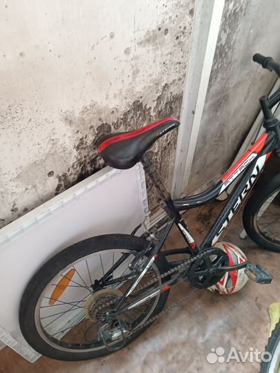 Детский велосипед stern