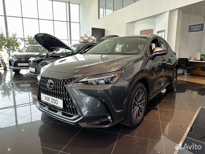 Lexus NX 2.5 AT, 2022