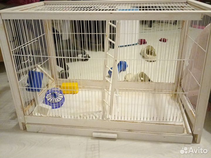Клетка для попугая бу