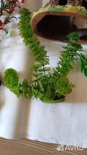 Аквариумистика