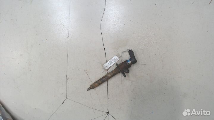 Форсунка топливная Land Rover Range Rover Sport