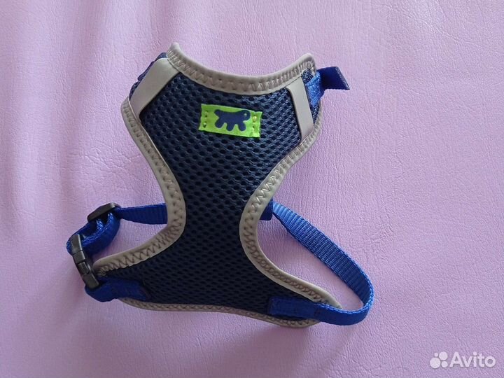 Одежда для маленьких собак