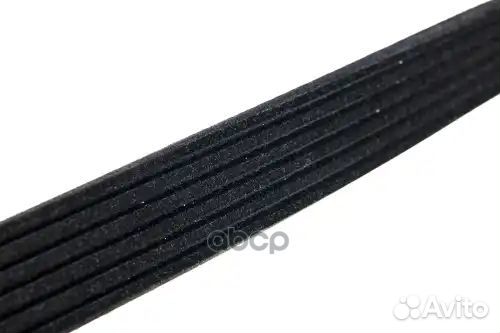 Ремень поликлиновой 6PK1605 thermo king