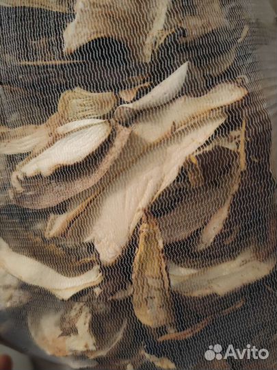 Грибы белые сушеные