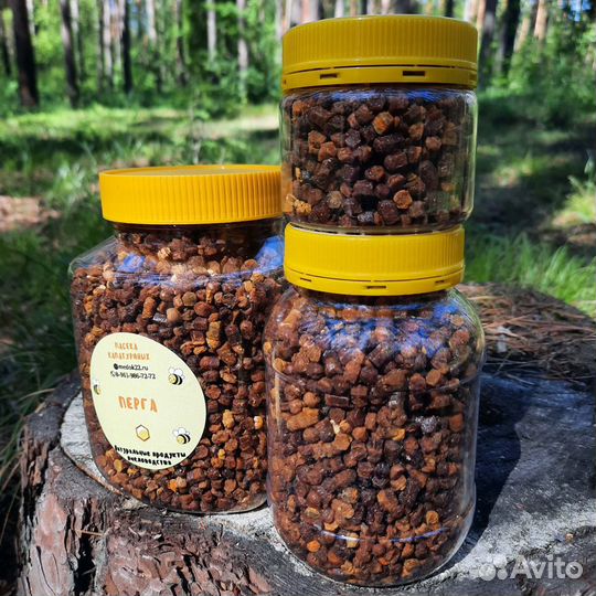 Перга пчелиная (сбор 2023)