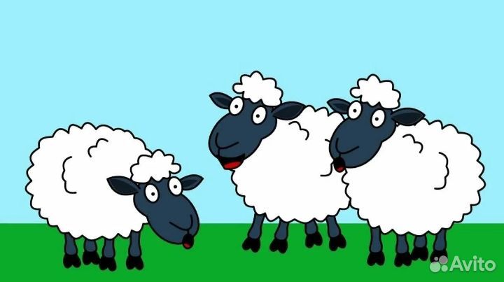 Овец меняю на телят