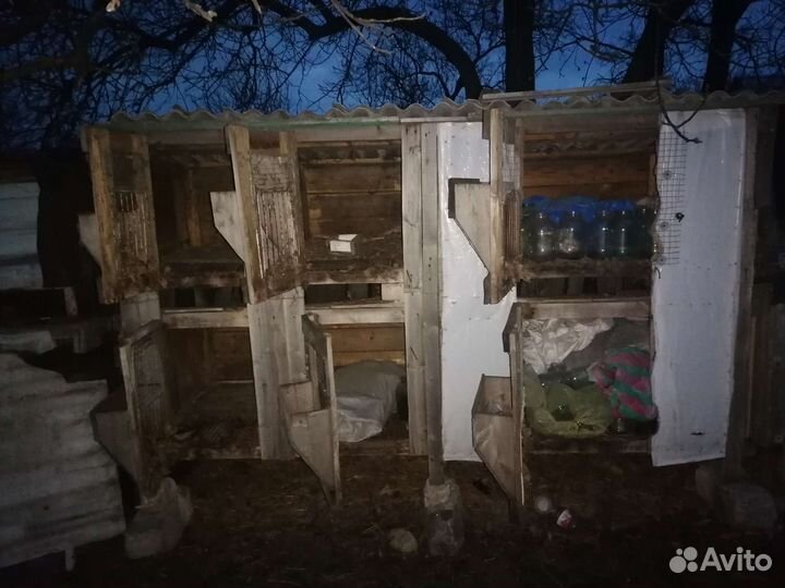 Клетка для грызунов бу