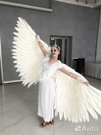 Шоу балет, шоу программа на мероприятие