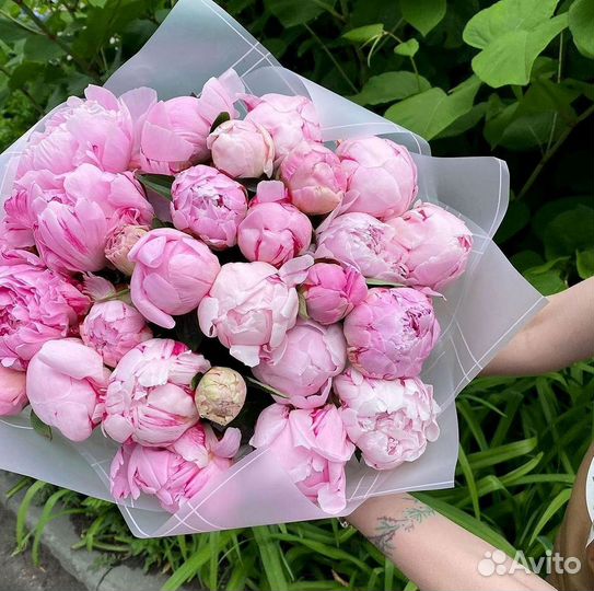 Пионы Букет пионов