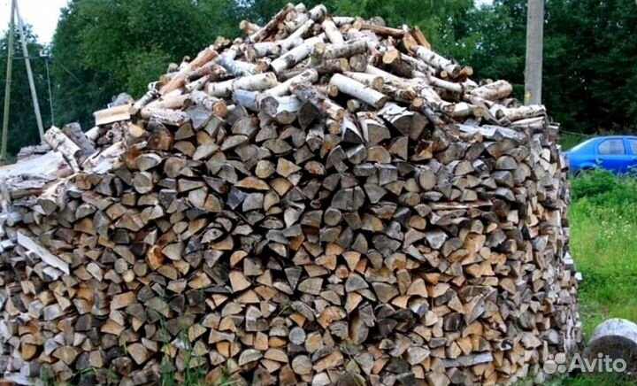 Кора березы