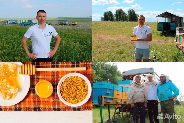 Мёд оптом от 1 кг - сам пчеловод. Москва