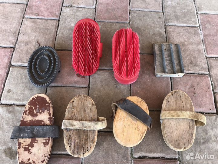 Щетки для ухода за лошадью, повод