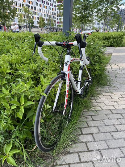 Шоссейный велосипед Cube Peloton