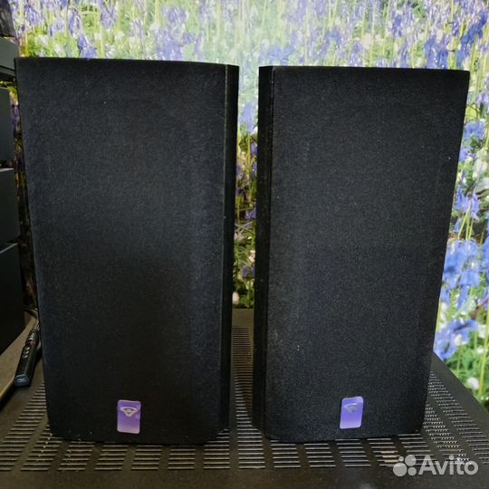 Колонки cerwin wega