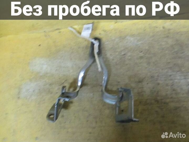 Петля капота Toyota Prius ZVW30