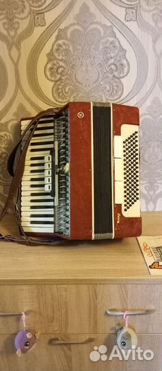 Аккордеон