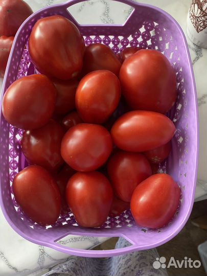 Помидоры домашние, вкусные