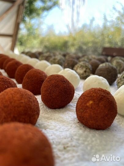 Молоко козье нубийское и молочная продукция