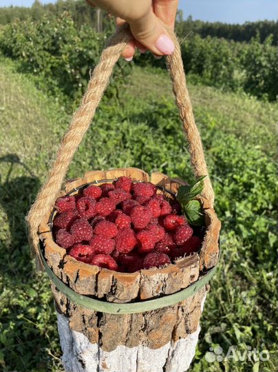 Малина ягоды