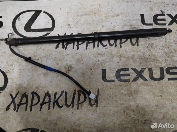 Амортизатор двери багажника правый Lexus Rx4