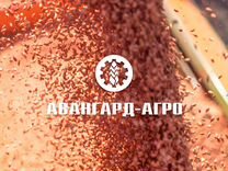 Аппаратчик обработки зерна