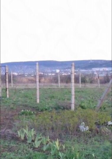 Участок 15 сот. (СНТ, ДНП)
