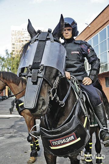 Полицейский(кавалерист)