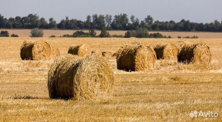 Солома сено