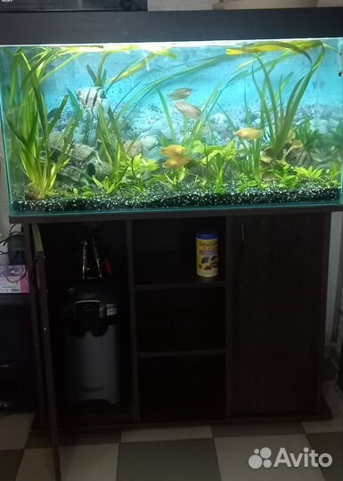 Аквариум 200 литров с тумбой